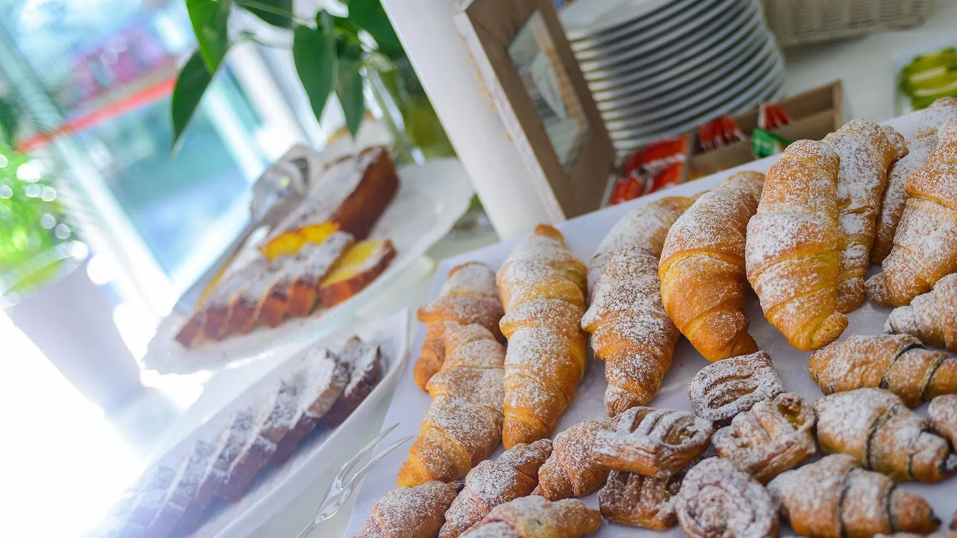 Hotel Falco リッチョーネ